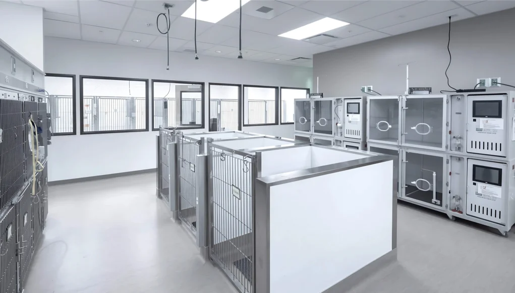 Sistemas de Ar para Clínicas e Hospitais Veterinários