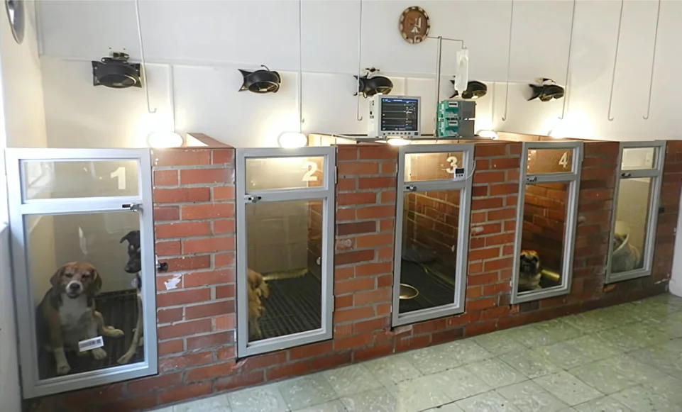 Sistemas de Ar para Clínicas e Hospitais Veterinários