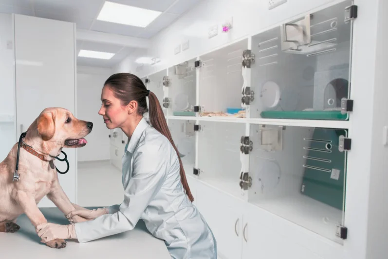 Sistemas de Ar para Clínicas e Hospitais Veterinários